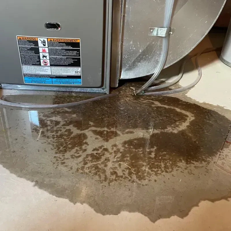 Appliance Leak Cleanup in Twin City, GA